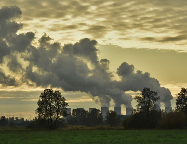 Risikoanalyse Windpark im Waidachswald